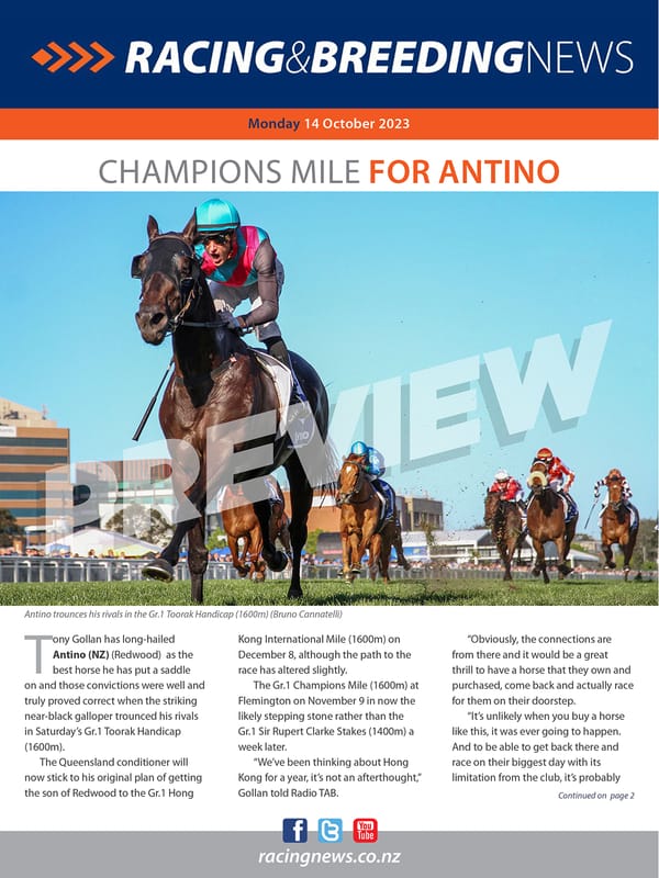 NZ Racing and Breeding News – 14 October 2024