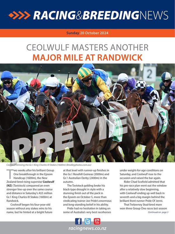 NZ Racing and Breeding News – 20 October 2024