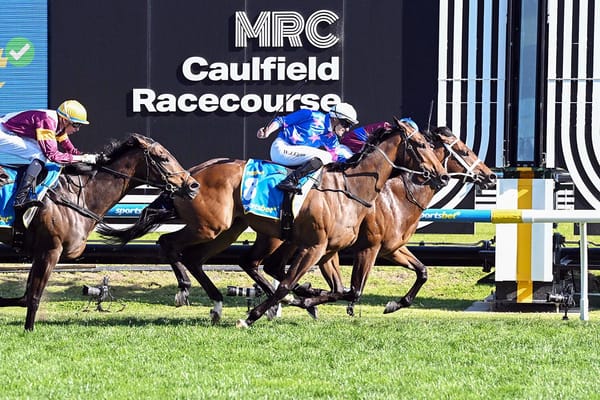 NZB Kiwi option for Feroce