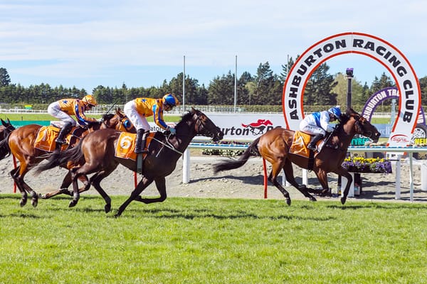 Three-year-old features await Pike fillies