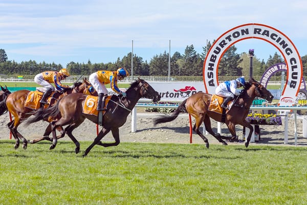 Raziah brilliant in Ashburton feature
