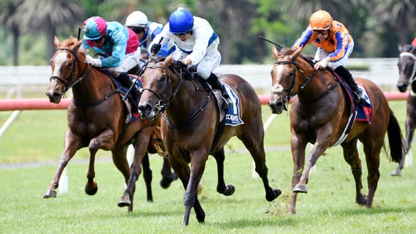 Savaglee Shines in Sarten