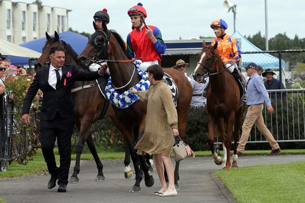 VIDEO: Sharp 'N' Smart