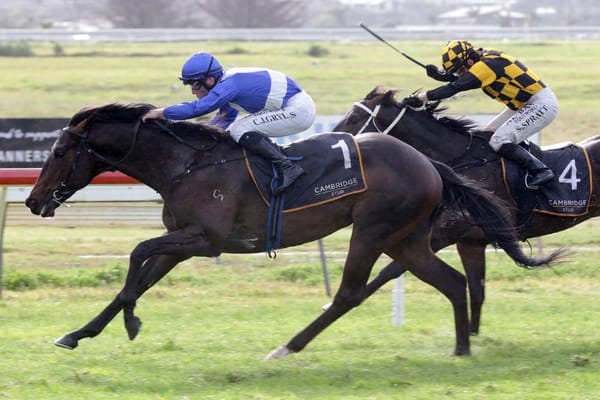 So Naive out to continue purple patch