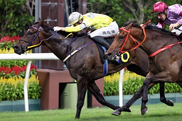 Super Joy N Fun chases back-to-back wins