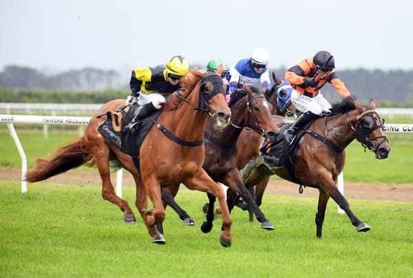 Hawera double caps dream week for connections