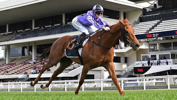 The Odyssey Demonstrates Impressive Staying Credentials