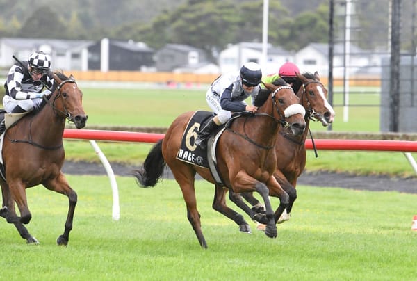 Ellerslie on Rutten’s radar again after Trentham win