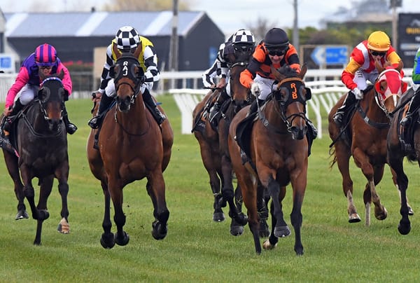 Town Cryer vying for Breeders crown