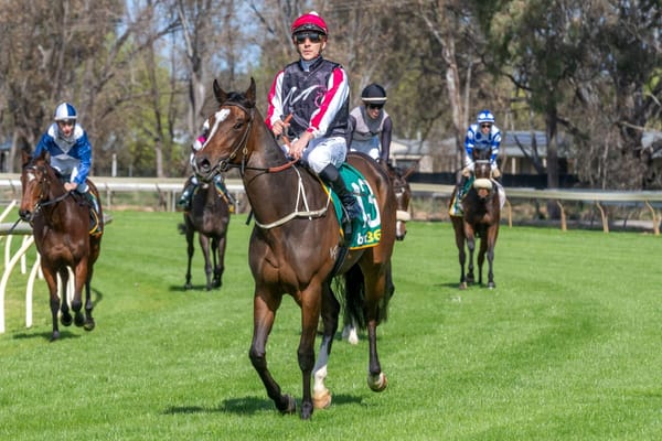 Riordan answers Te Akau’s call