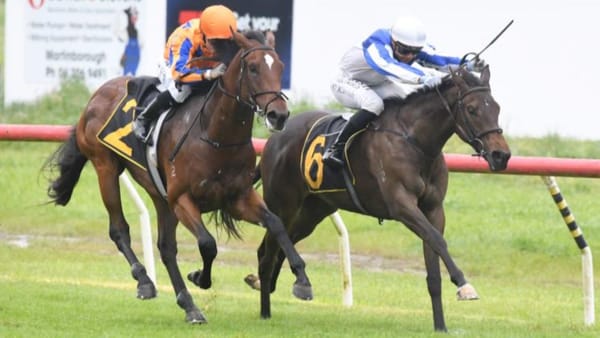 Abbakiss on the board at Tauherenikau