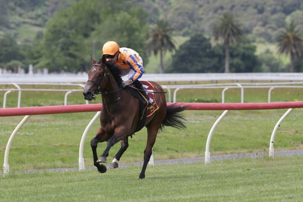 Celestial Wonder impresses at Te Aroha