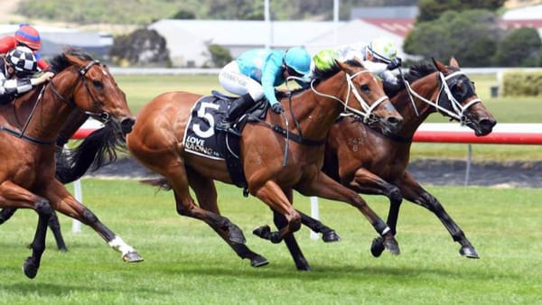 Isdale set to field quartet at Riccarton on opening day