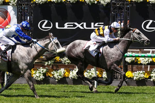 Cloudland Claims Victory in the Subzero