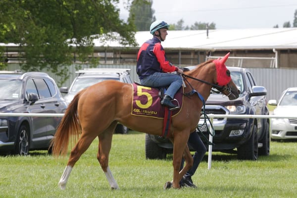 TAB fillies making debut at Ellerslie