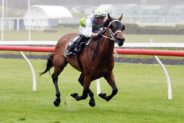 Mare set to overcome a few hurdles ahead of Telegraph test