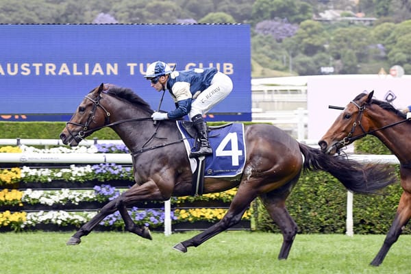 Gringotts steals the show in Big Dance