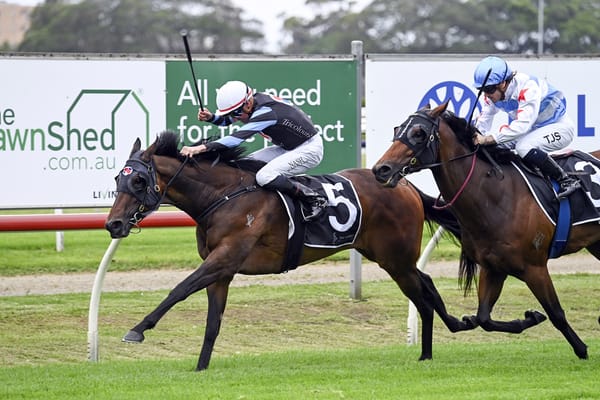 Harlow Mist returns to winner’s circle