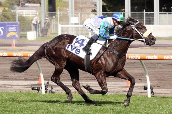 Wish return still undecided