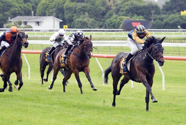 Hercock Secures Idyllic Victory in Levin Stakes