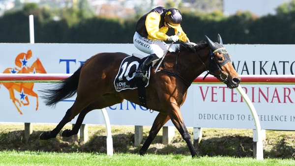 Wexford Stables Brings Strong Quartet to Legacy Lodge