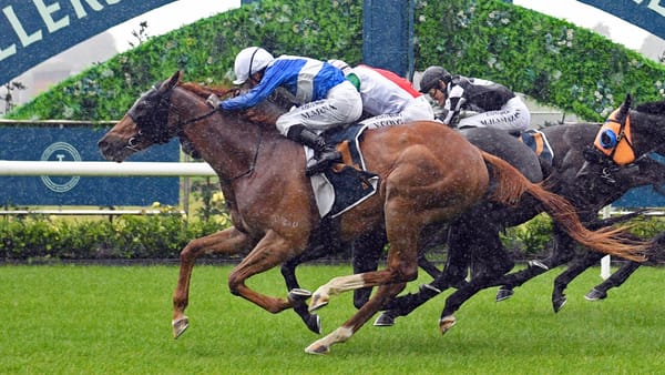 Meaningful Star wins Ellerslie feature