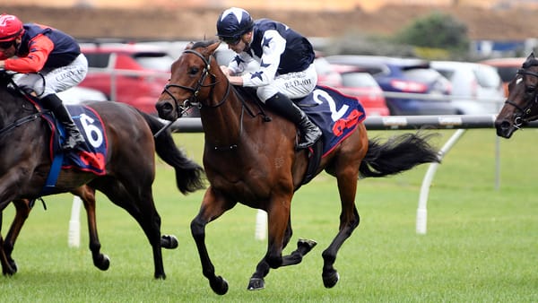 Toretto secures his place in the 2025 Karaka Millions 2YO