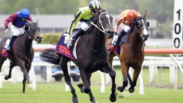 Quality Filly Boosts Trainer’s Guineas Prospects