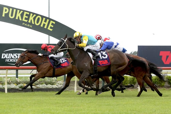 Mi Bella out to continue stable success at Te Aroha
