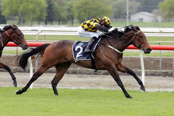 Noble tasked with continuing Cambridge Stud’s hot spring