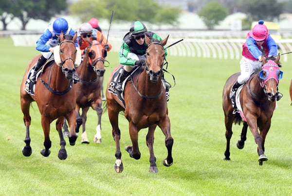 Molly Secures Three Wins in a Row