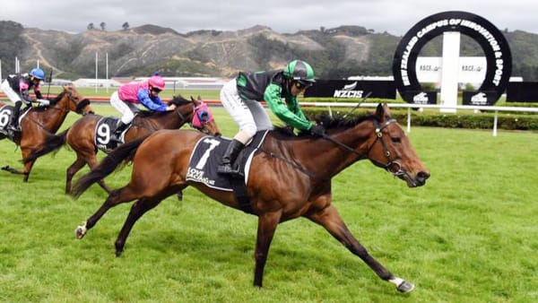 Marotiri Molly Heads North for Racing Mission