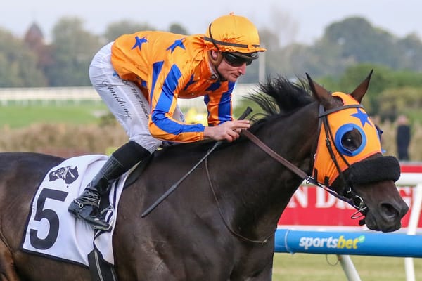 Seymour Cup winner hunting NZ spoils