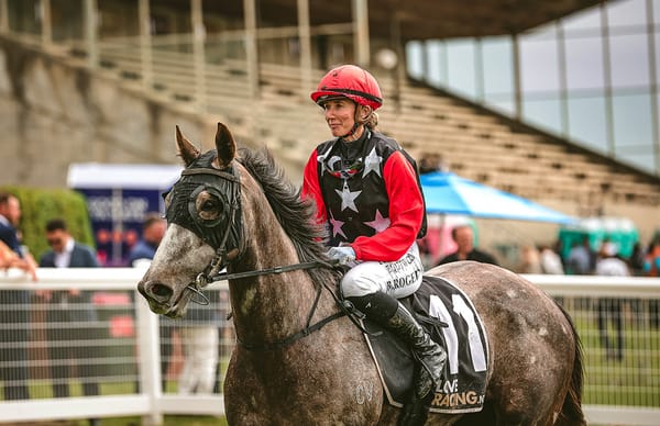 The Grey Goose flying ahead of distance targets