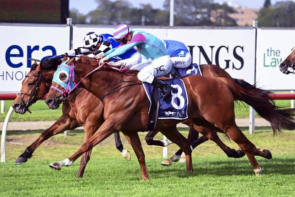 Nikau Spur claims NZB Beauford