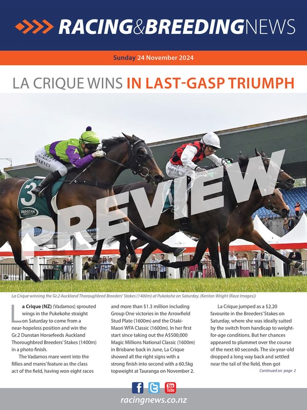 NZ Racing and Breeding News – 24 November 2024
