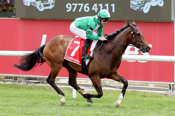 Smart debut by Kiwi-bred three-year-old