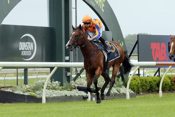 Dominant debut by million-dollar baby in the Listed Challenge Stakes