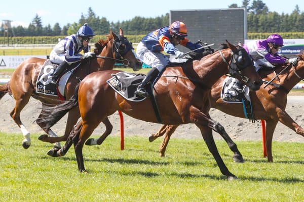 Faulkner hoping for luck at Riccarton
