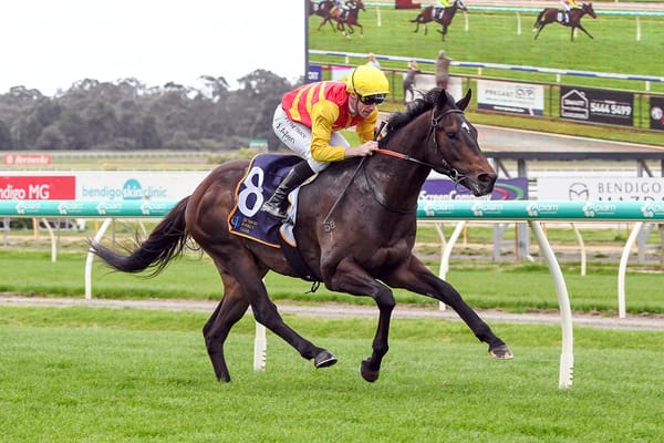 Rue de Royale Sets Sights on the Sapphire Stakes