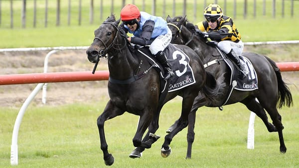 Gerard’s Emerging Mares Set for Pukekohe Challenge