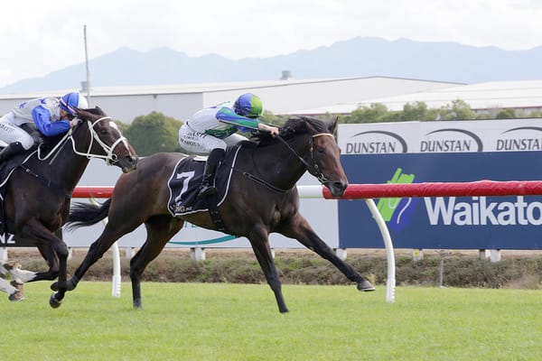 Smart win for progressive filly