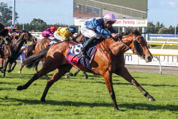 Hot stable sets sights on Pukekohe staying prize