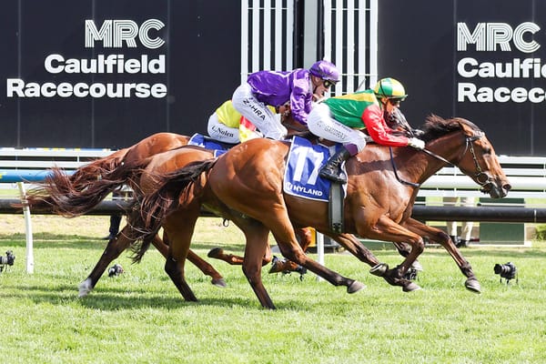 Torranzino plunders Country Cups Final