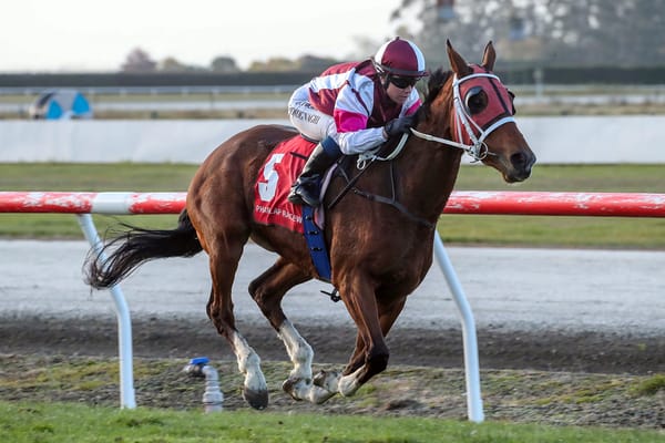 Stewart Gears Up for Busy Cromwell Carnival