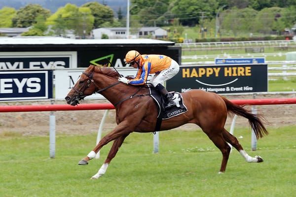 Wild Night Returns in Top Form