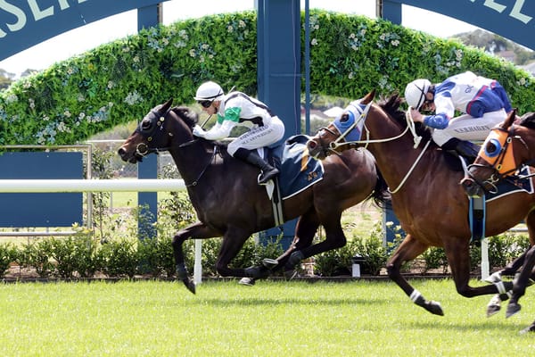 Witz End Secures Spot Down South After Ellerslie Win