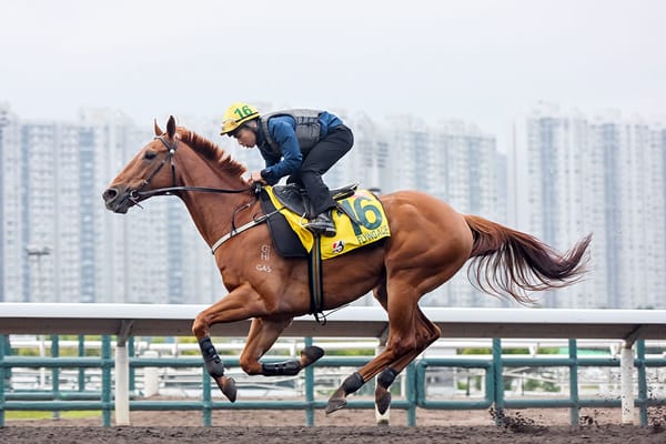 Kiwi flavour doubles in Hong Kong Sprint
