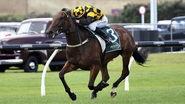 About Time Shines in Dunstan Stayers Final