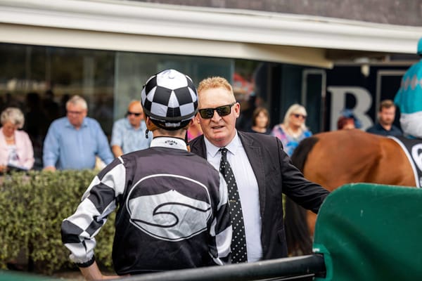 Promising Local Two-Year-Old Set for New Plymouth Spotlight